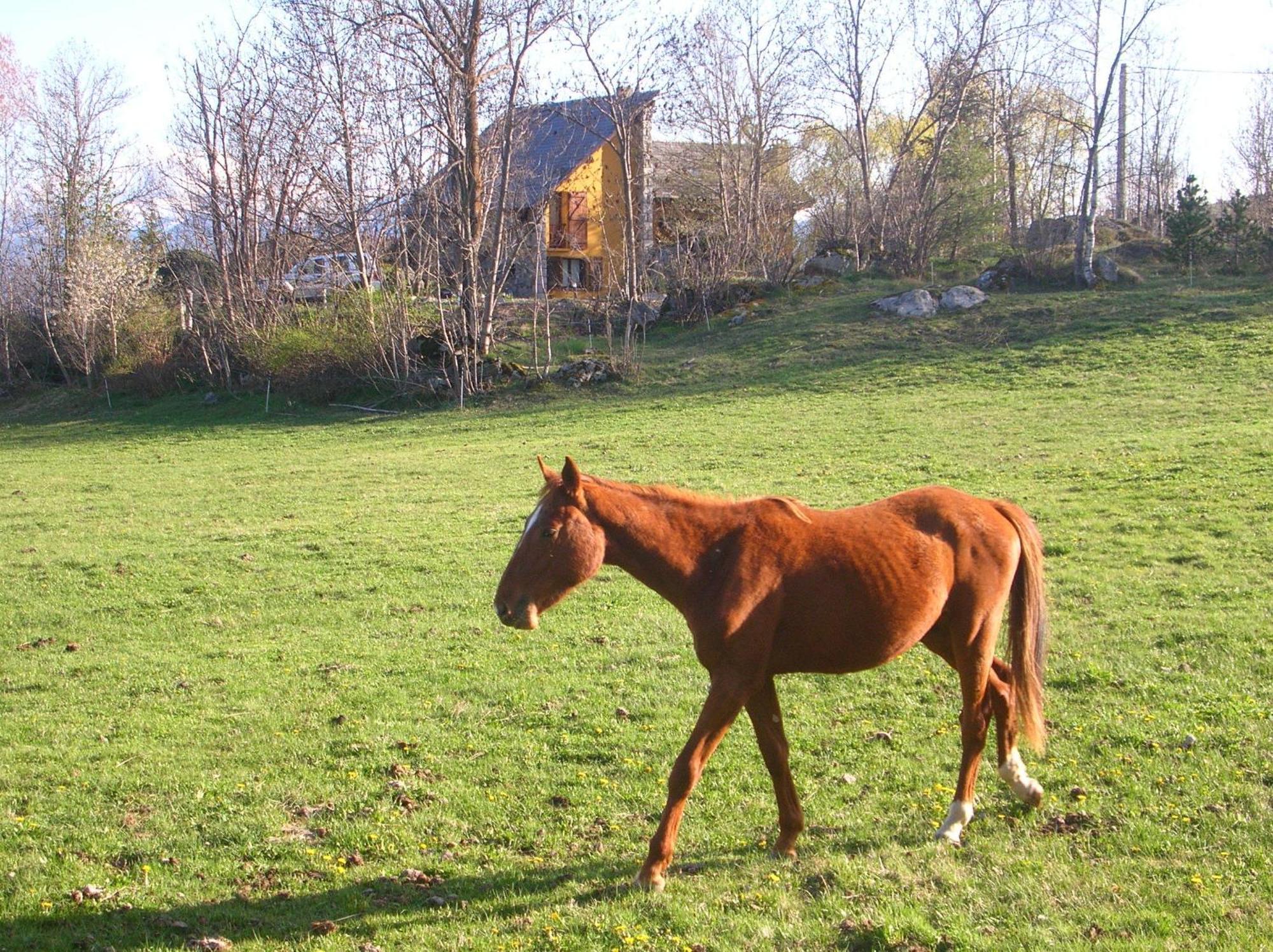 El Balco De Dorres Bed & Breakfast Екстериор снимка