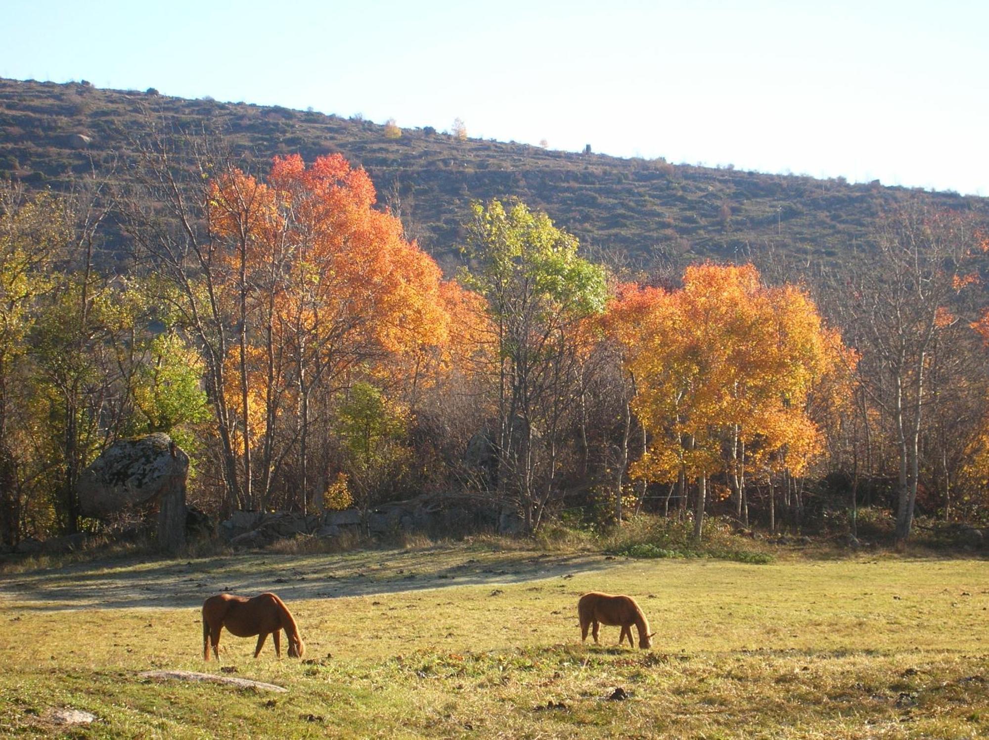 El Balco De Dorres Bed & Breakfast Екстериор снимка